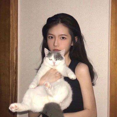 233小游戏旧版本下载