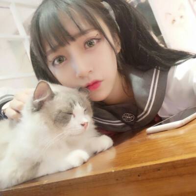 捕妞达人泡打比基尼正版手游下载